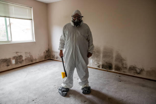 Best Local Mold Removal Service  in Wadesboro, NC